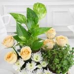 Roses cake and Plants - Image 2