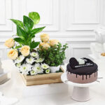 Roses cake and Plants