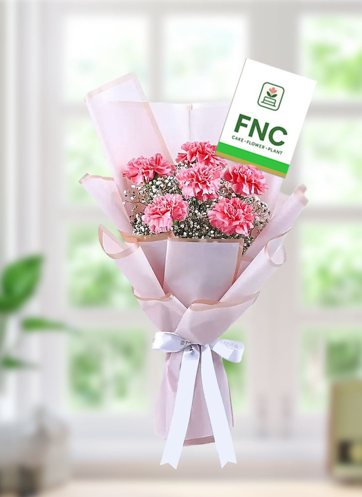 carnations-flower-bouquet Carnation Flowers Bouquet - Image 1