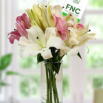 Pink & White Oriental Lilies in Glass Vase