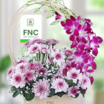 Royal Orchid Basket Arrangment